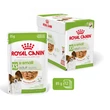 Kép 2/2 - ROYAL CANIN - SHN WET X-SMALL ADULT - ALUTASAKOS (12*85g)