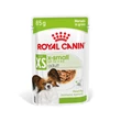 Kép 1/2 - ROYAL CANIN - SHN WET X-SMALL ADULT - ALUTASAKOS (12*85g)