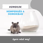 Homok