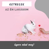 Ketrec, szállítóbox