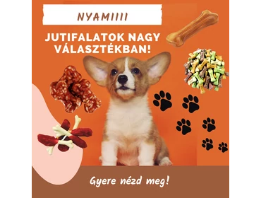 Kutya jutalomfalat Kutya jutalomfalat