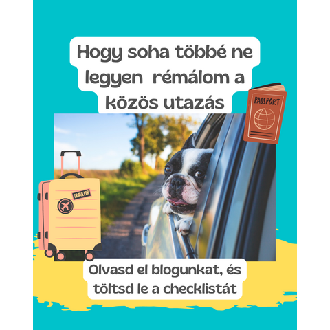 Nyaralás a kedvenceddel - Hasznos tippek az utazáshoz és a csomagoláshoz