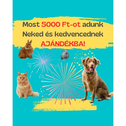 5000Ft ajándék tőlünk - Nektek!