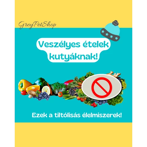 Tiltólistás élelmiszerek kutyáknak!
