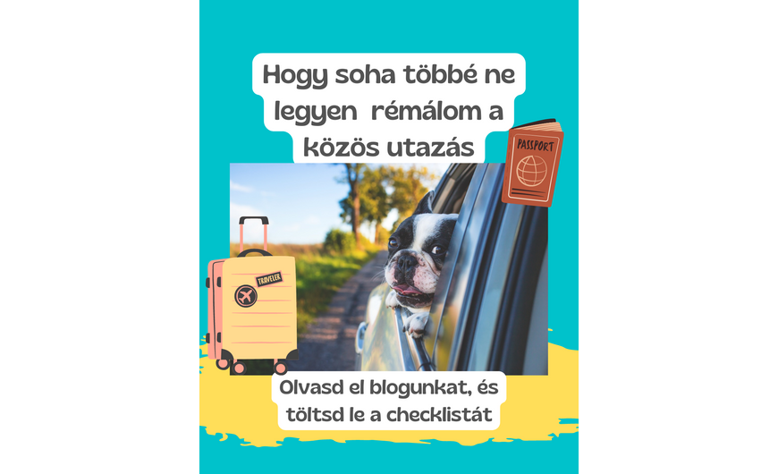 Nyaralás a kedvenceddel - Hasznos tippek az utazáshoz és a csomagoláshoz