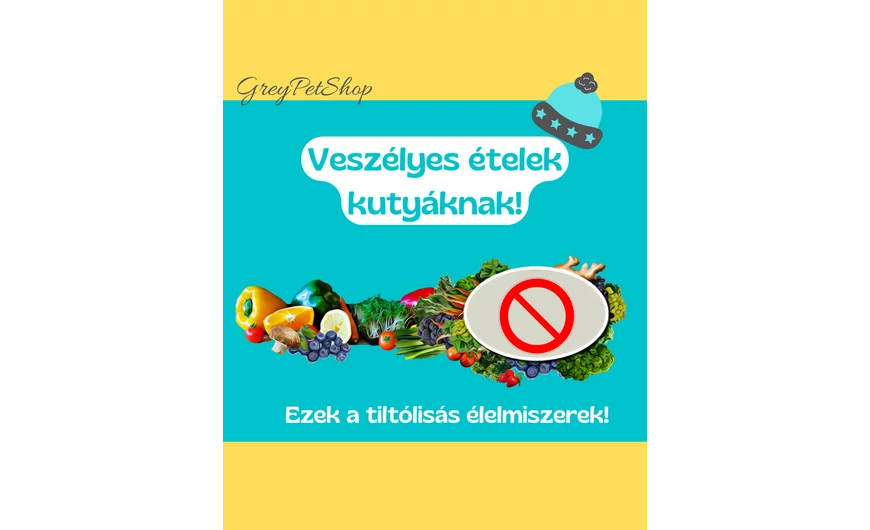 Tiltólistás élelmiszerek kutyáknak!